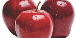 Import Quality Fresh Apple