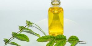 Curry Leaf Oil