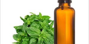 Holy Basil Oil