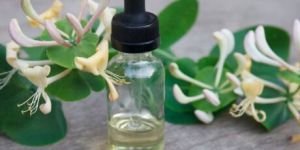 Honeysuckle Oil