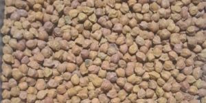 Grade 1 Organic Kabul Channa