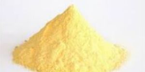 Spray Dried Mango Juice Powder