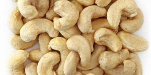 W240 Cashew Nut