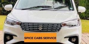 Taxi Rental Services