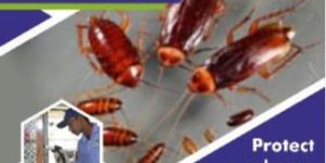 Cockroach Control Services