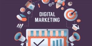Digital Marketing Services in Delhi