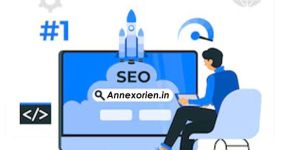 Seo Services in India