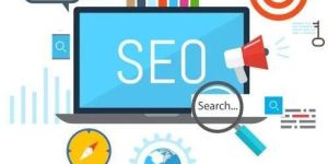 Search Engine Optimization Service