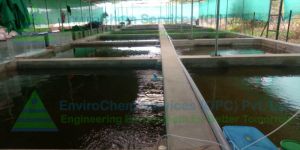 Diffused Aeration System