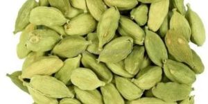 Green Cardamom