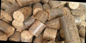 Biomass Briquettes