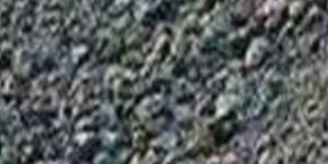 Iron Ore Fines Grade 56