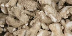 Dry Ginger