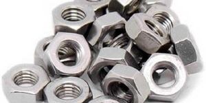 Stainless Steel Allen Nuts