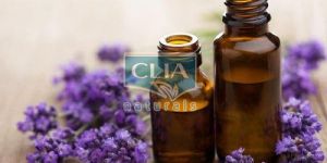 Lavender Oil