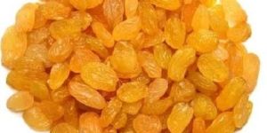 Dried Golden Raisins