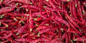 S-17 Teja Stem Cut Dried Red Chilli