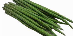 Fresh Drumsticks