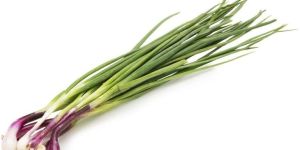 Fresh Spring Onion