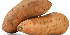 Fresh Sweet Potato