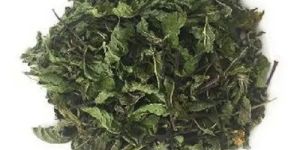 Dehydrated Mint Leaves
