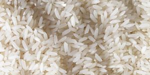 Sona Masoori Raw Non Basmati Rice