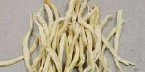 Dried Shatavari Roots