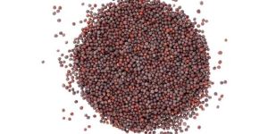 Black Mustard Seeds