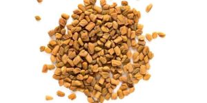 Fenugreek