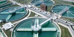 STP Plant Project Work