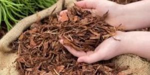 Pine Bark Nano Nuggets