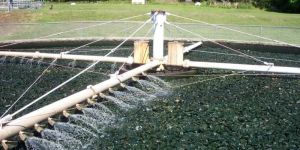 Aeration Trickling Filter