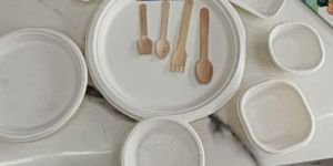 Disposable Paper Plate