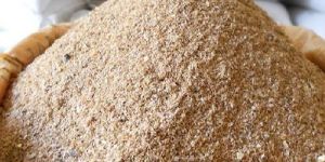 Wheat Bran