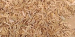 Rice Husk