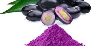 Jamun Powder