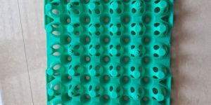 Green Plastic Egg Tray