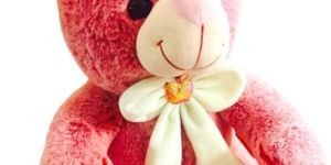 Pink Sitting Teddy Bear Soft Toy