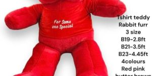 Red Teddy Bear Soft Toy