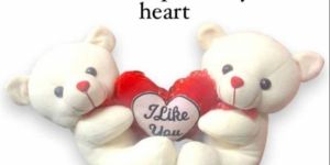 Valentine Teddy Bear Soft Toy