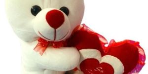 White Sitting Teddy Bear Soft Toy