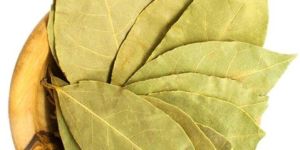 Dried Bay Leaves