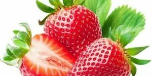 Fresh Strawberry