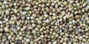 Whole Split Coriander