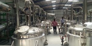 Nicotine Extraction Plant