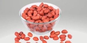 Organic Groundnut Seeds
