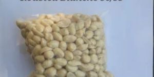 Roasted Peanuts Namkeen