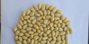 Roasted Whole Peanuts