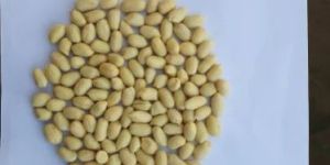 Whole Roasted Blanched Peanut