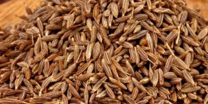 Brown Cumin Seeds